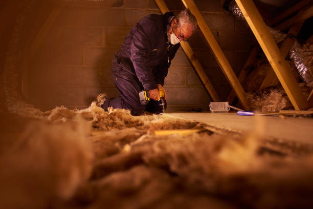 Best Cellulose Insulation in Jonesville, NC