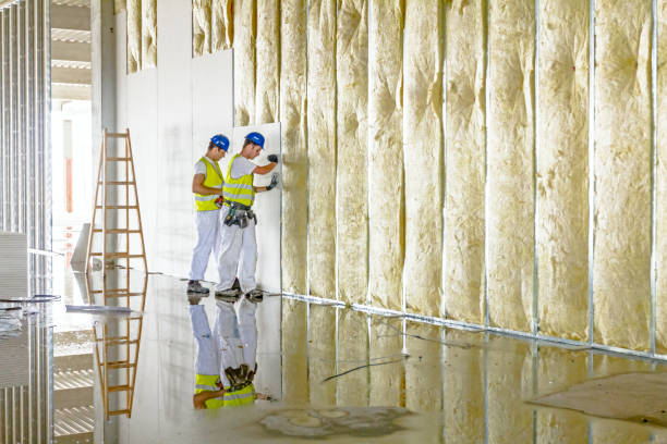 Best Blown-in Insulation in Jonesville, NC